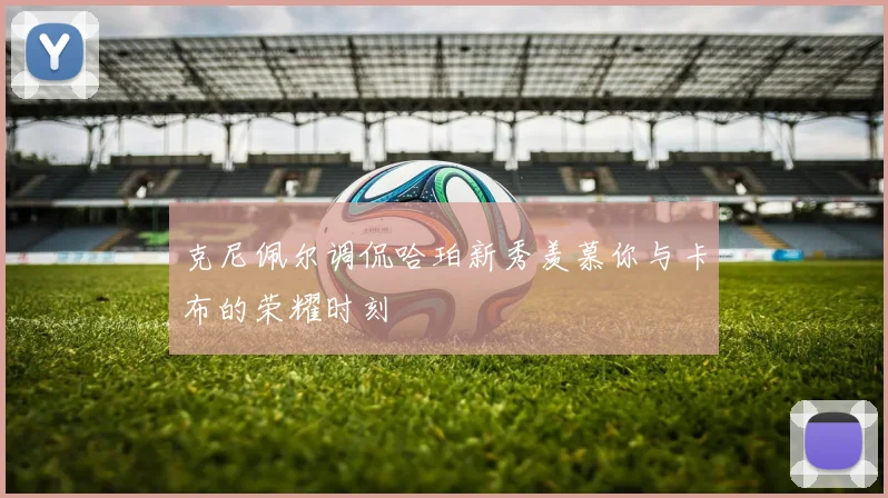 克尼佩尔调侃哈珀新秀羡慕你与卡布的荣耀时刻